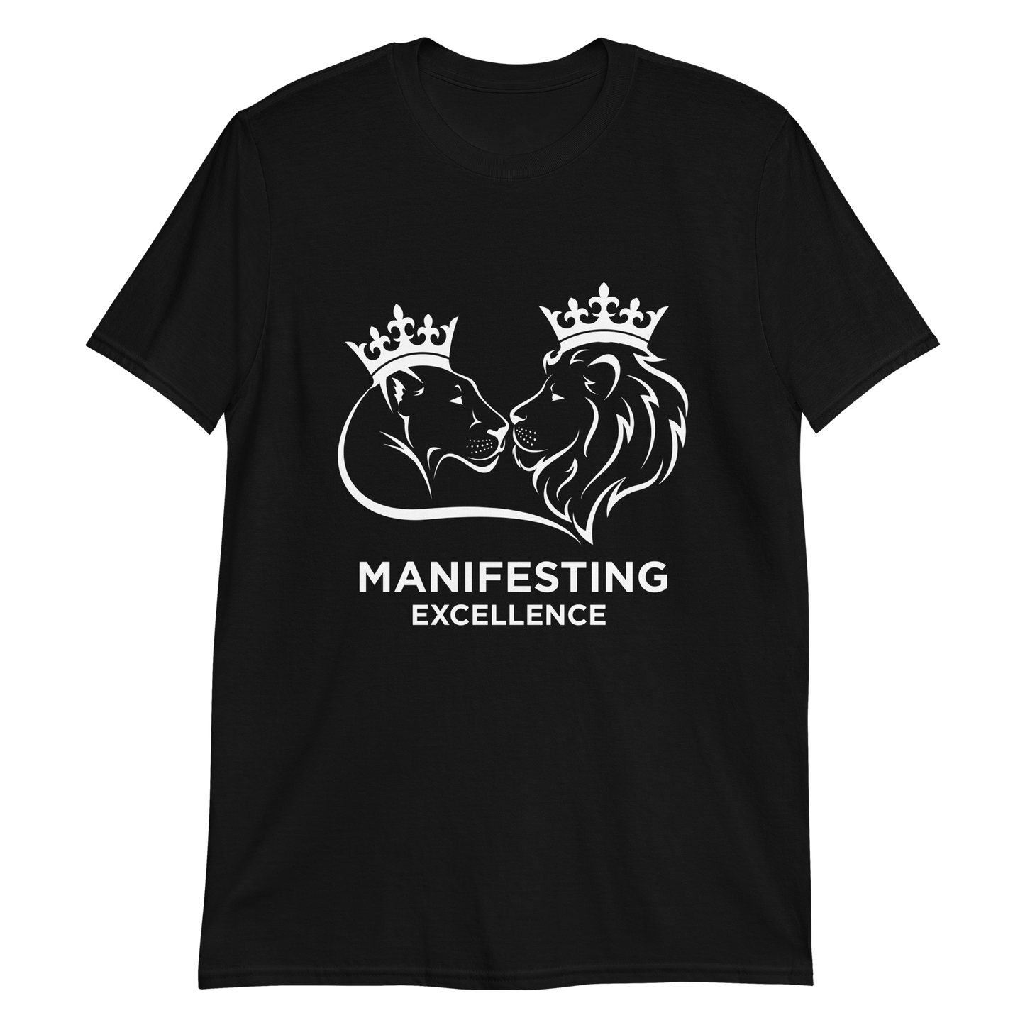 Manifesting Excellence Women's T-Shirt